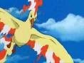 /album/galeria-de-fotos/moltres-jpg1/